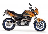 2007 Aprilia Pegaso 650 photo